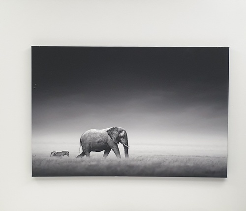 Gallery item 2