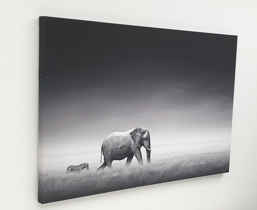 Gallery item 4