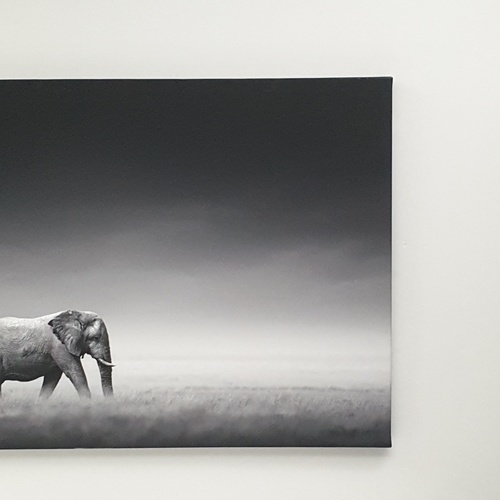 Gallery item 6