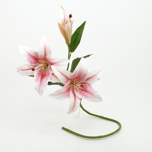 Gallery item 1