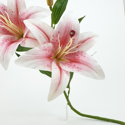 Gallery item 4