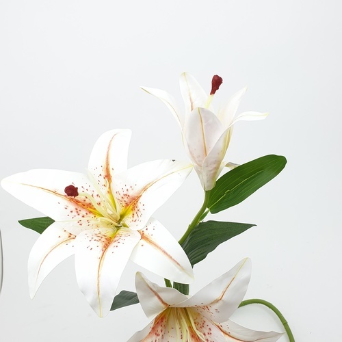 Gallery item 4
