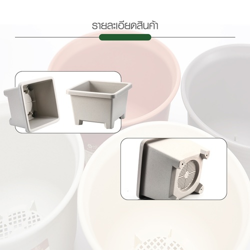 Gallery item 7
