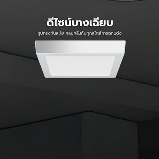 Gallery item 2