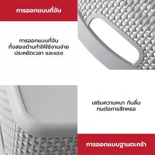 Gallery item 6