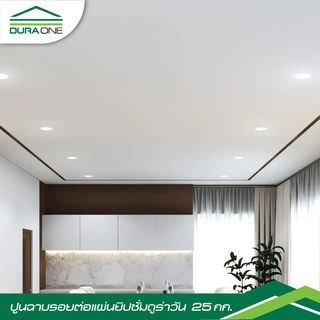Gallery item 2