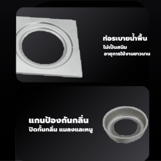 Gallery item 7