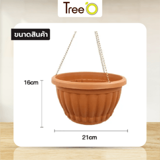 Gallery item 10
