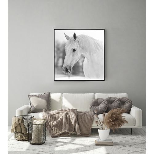 Gallery item 5