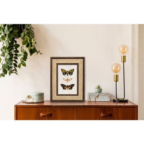 Gallery item 3