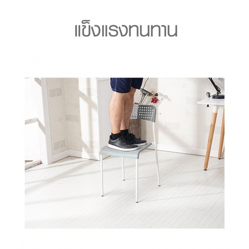 Gallery item 7