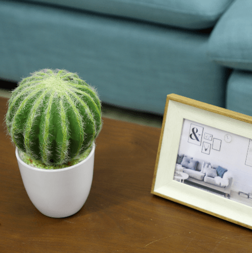 Gallery item 6