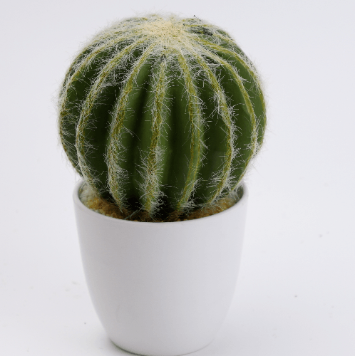 Gallery item 5
