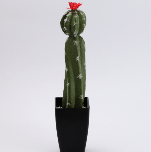 Gallery item 3