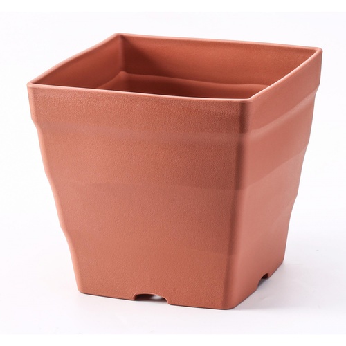 Gallery item 1