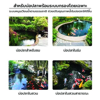 Gallery item 4