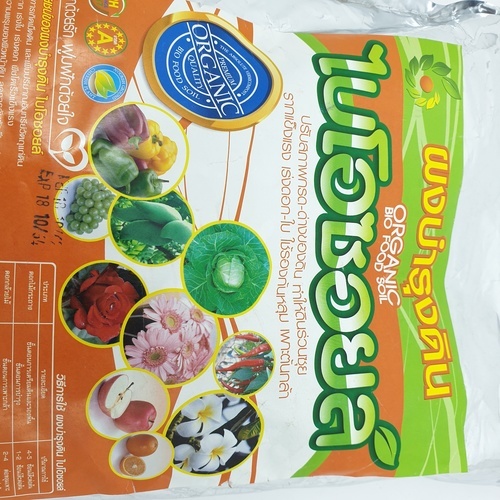 Gallery item 7
