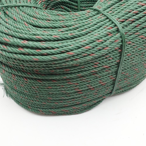 Gallery item 7