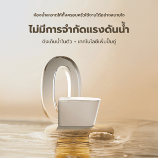 Gallery item 10