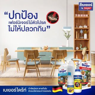 Gallery item 5
