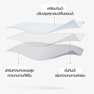 Gallery item 9