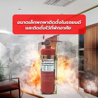Gallery item 3