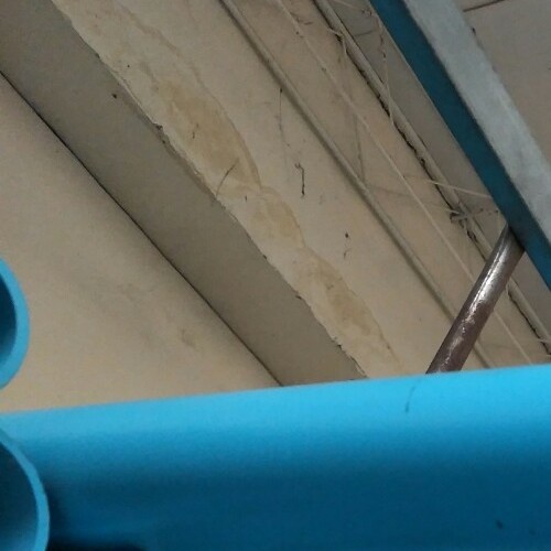 Gallery item 2