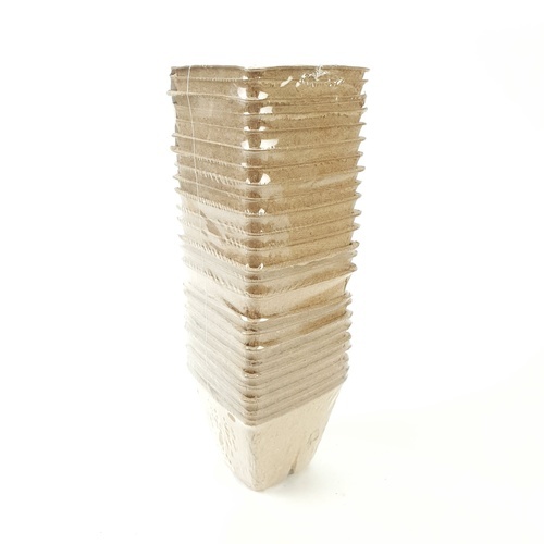Gallery item 9