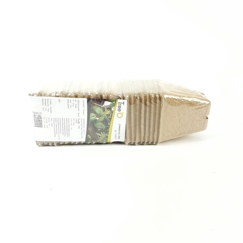 Gallery item 10