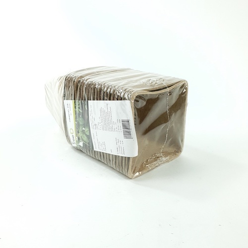 Gallery item 9