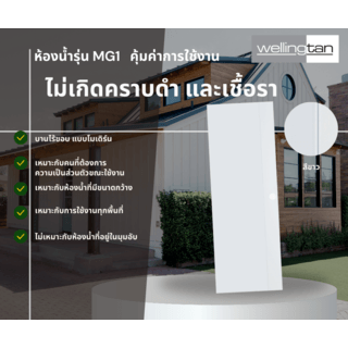 Gallery item 8