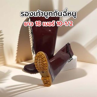Gallery item 1