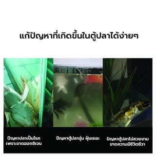 Gallery item 9