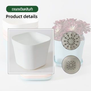 Gallery item 5