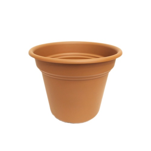 Gallery item 1