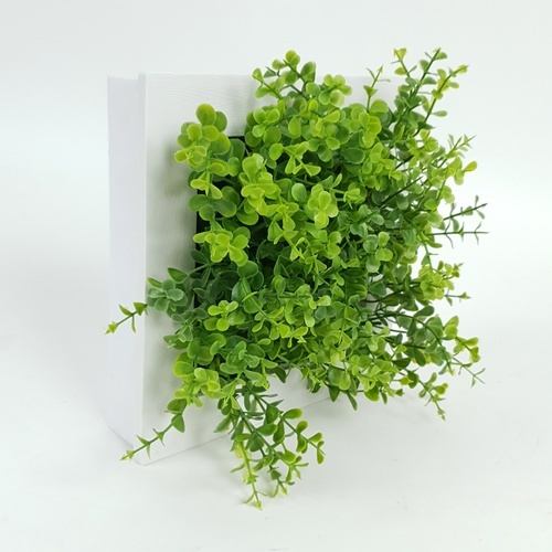 Gallery item 5