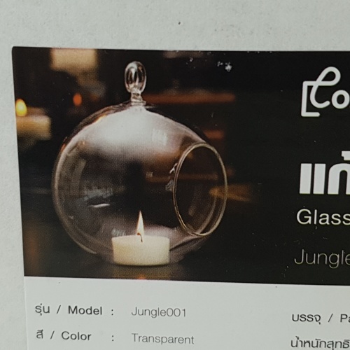 Gallery item 5