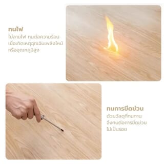 Gallery item 3