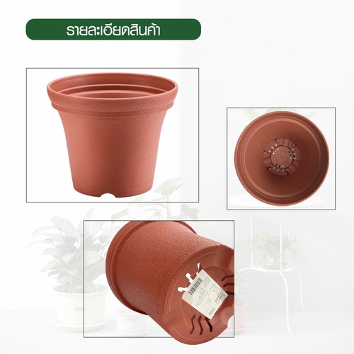 Gallery item 9