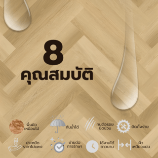 Gallery item 5