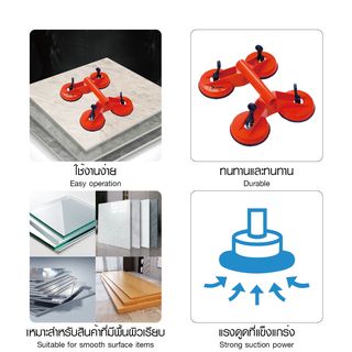 Gallery item 6