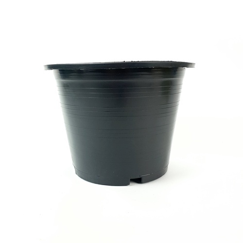 Gallery item 4