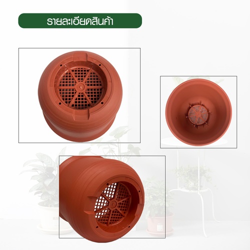 Gallery item 6