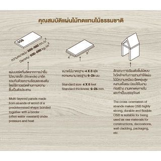 Gallery item 2