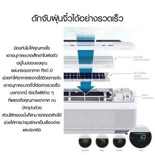 Gallery item 11