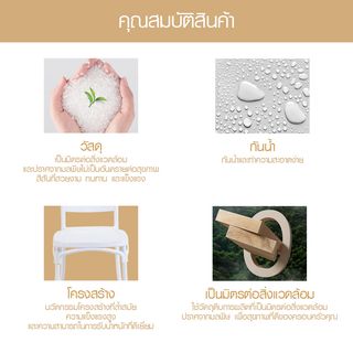 Gallery item 7