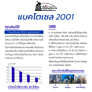 Gallery item 6
