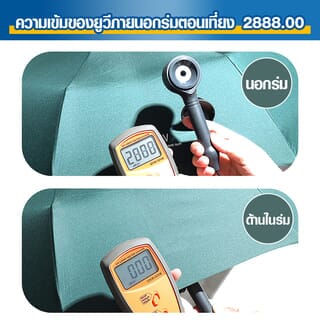 Gallery item 3