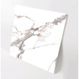 Gallery item 7
