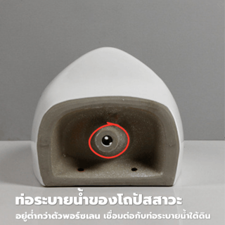 Gallery item 9